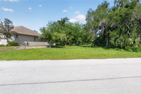 Land in Homosassa, Florida № 2213473 - photo 2