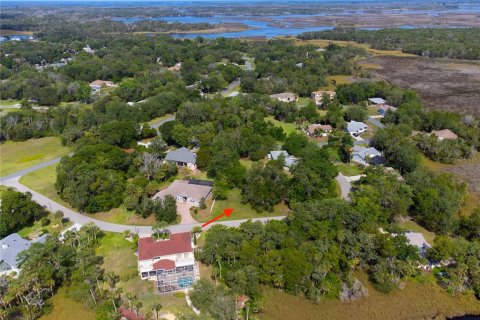 Land in Homosassa, Florida № 2213473 - photo 17
