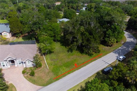 Land in Homosassa, Florida № 2213473 - photo 3
