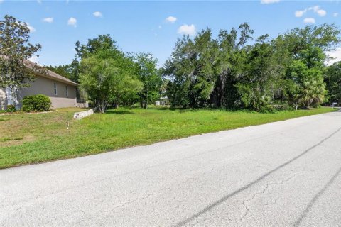 Land in Homosassa, Florida № 2213473 - photo 5