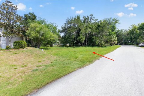 Land in Homosassa, Florida № 2213473 - photo 15
