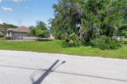 Land in Homosassa, Florida № 2213473 - photo 10