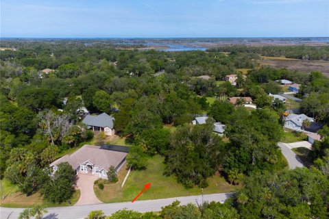 Land in Homosassa, Florida № 2213473 - photo 6