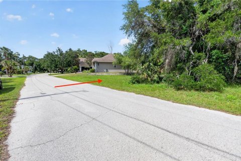 Land in Homosassa, Florida № 2213473 - photo 11