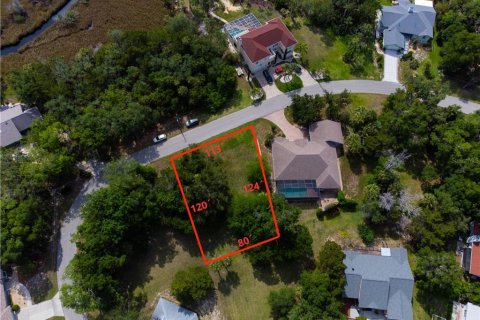 Land in Homosassa, Florida № 2213473 - photo 4