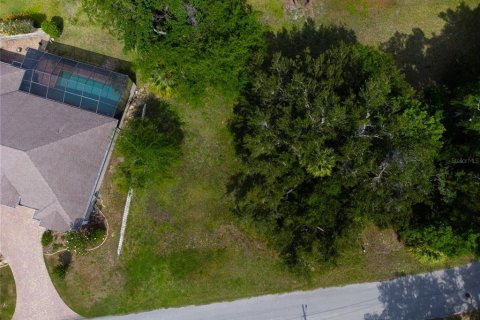 Land in Homosassa, Florida № 2213473 - photo 8