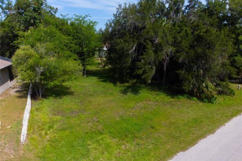 Land in Homosassa, Florida № 2213473 - photo 12