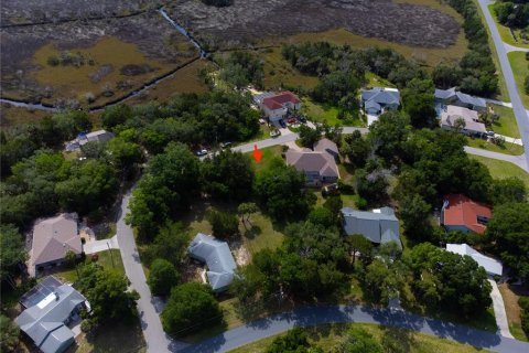 Land in Homosassa, Florida № 2213473 - photo 19