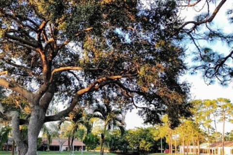 Купить кондоминиум в Гринакрес, Флорида 3 комнаты, 85.66м2, № 1963923 - фото 2