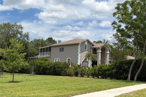House in Tarpon Springs, Florida 5 bedrooms, 386.1 sq.m. № 2101919 - photo 28