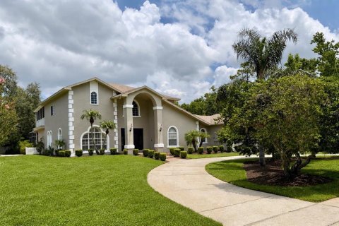 House in Tarpon Springs, Florida 5 bedrooms, 386.1 sq.m. № 2101919