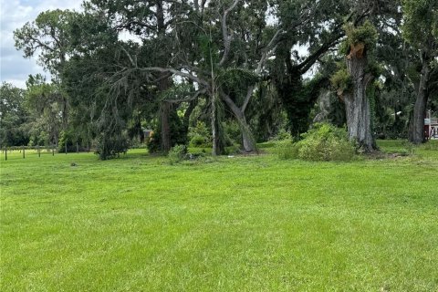 House in Plant City, Florida 2 bedrooms, 132.39 sq.m. № 1831509 - photo 12