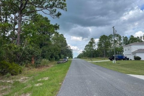 Land in Dunnellon, Florida № 2161717