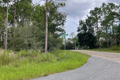 Land in Dunnellon, Florida № 2161717 - photo 2