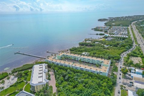 Condo in Islamorada, Village of Islands, Florida, 2 bedrooms  № 1470180 - photo 30