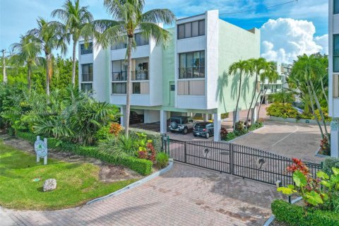 Condo in Islamorada, Village of Islands, Florida, 2 bedrooms  № 1470180 - photo 5