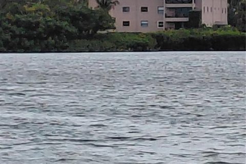 Condo in Tarpon Springs, Florida, 2 bedrooms  № 2303375 - photo 3