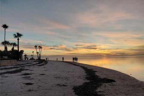 Condo in Tarpon Springs, Florida, 2 bedrooms  № 2303375 - photo 5