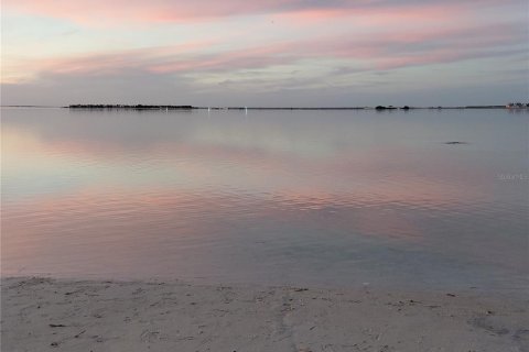 Condo in Tarpon Springs, Florida, 2 bedrooms  № 2303375 - photo 11