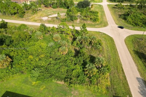 Terreno en venta en Lehigh Acres, Florida № 2015635 - foto 9