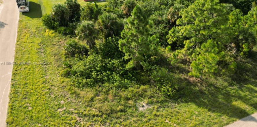 Terreno en Lehigh Acres, Florida № 2015635