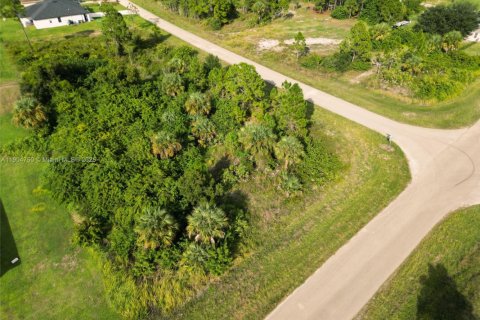 Terreno en venta en Lehigh Acres, Florida № 2015635 - foto 10