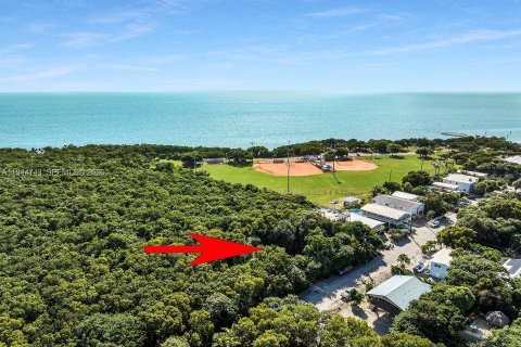 Terreno en venta en Key Largo, Florida № 2001370 - foto 2