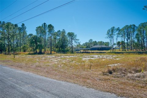 Terreno en Indian lake estates, Florida № 2120363