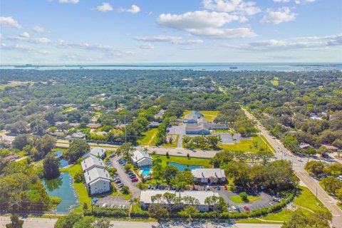 Copropriété à vendre à Dunedin, Floride: 2 chambres, 88.72 m2 № 1908308 - photo 29