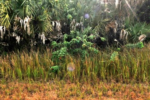 Land in North Port, Florida № 2201014