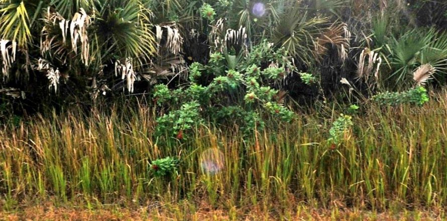 Terreno en North Port, Florida № 2201014