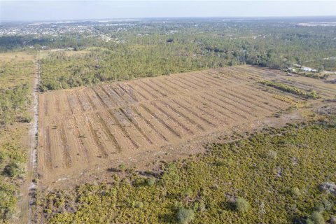 Land in Punta Gorda, Florida № 1804797 - photo 9
