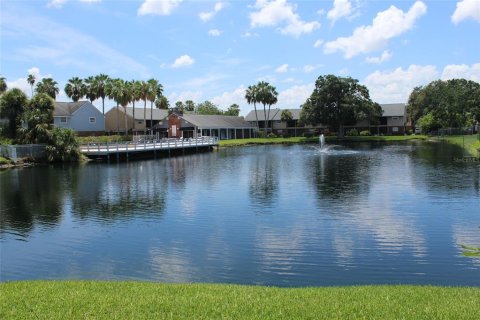 Condo in Largo, Florida, 1 bedroom  № 1870748 - photo 2