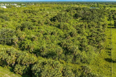 Commercial property in LaBelle, Florida № 1698347 - photo 11