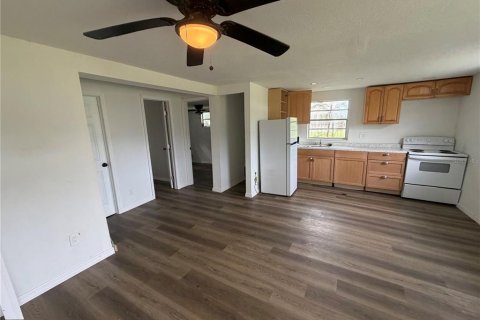 Appartement à louer à New Port Richey, Floride: 1 chambre, 49.8 m2 № 2406393 - photo 3
