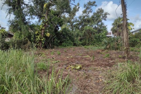 Land in Venice, Florida № 1904534 - photo 1
