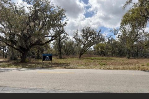 Terreno en venta en Bartow, Florida № 2230255 - foto 2