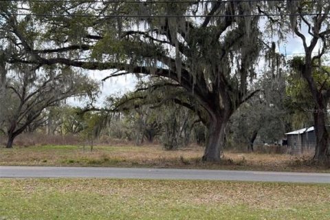 Terreno en venta en Bartow, Florida № 2230255 - foto 4