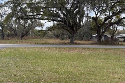 Terreno en venta en Bartow, Florida № 2230255 - foto 5