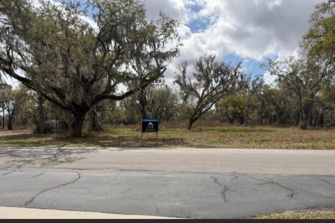 Terreno en venta en Bartow, Florida № 2230255 - foto 3