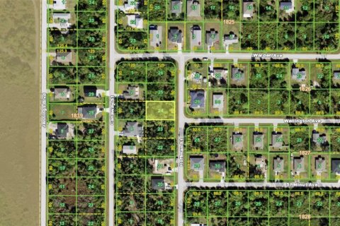 Land in Port Charlotte, Florida № 2383713 - photo 3