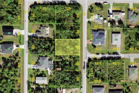 Land in Port Charlotte, Florida № 2383713 - photo 2