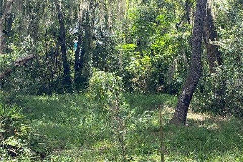 Land in Lake Panasoffkee, Florida № 2163679 - photo 5