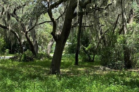 Land in Lake Panasoffkee, Florida № 2163679 - photo 4
