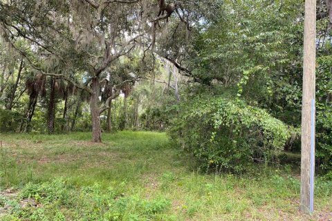 Land in Lake Panasoffkee, Florida № 2163679