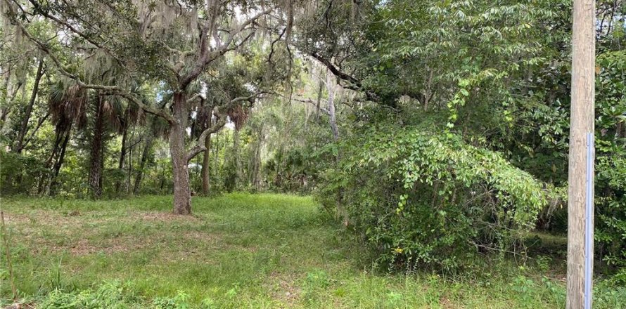 Land in Lake Panasoffkee, Florida № 2163679