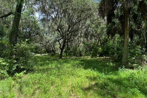 Land in Lake Panasoffkee, Florida № 2163679 - photo 7