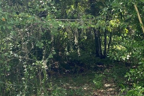 Land in Lake Panasoffkee, Florida № 2163679 - photo 2