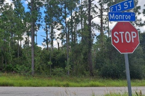 Land in Lehigh Acres, Florida № 2212746