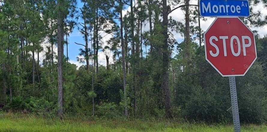 Terrain à Lehigh Acres, Floride № 2212746